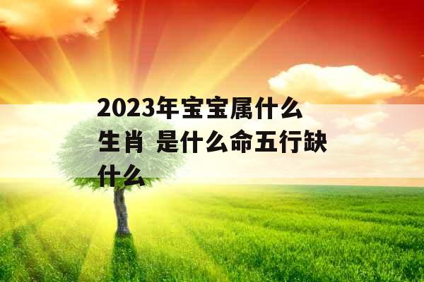 2023年宝宝属什么生肖 是什么命五行缺什么