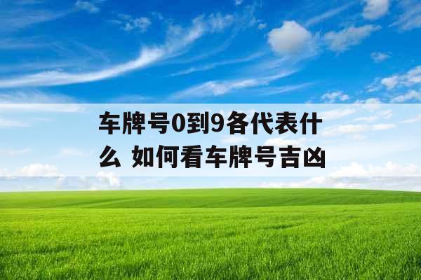 车牌号0到9各代表什么 如何看车牌号吉凶