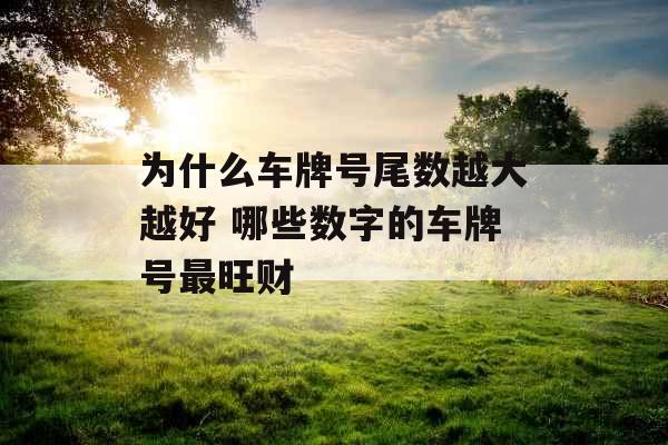 为什么车牌号尾数越大越好 哪些数字的车牌号最旺财