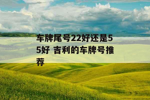 车牌尾号22好还是55好 吉利的车牌号推荐