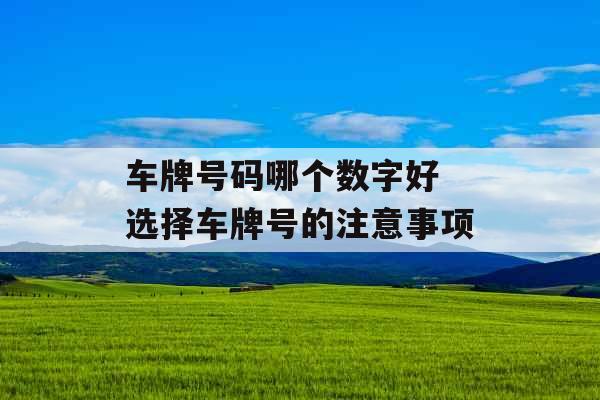 车牌号码哪个数字好 选择车牌号的注意事项