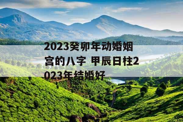 2023癸卯年动婚姻宫的八字 甲辰日柱2023年结婚好