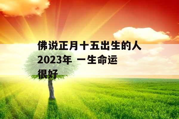 佛说正月十五出生的人2023年 一生命运很好