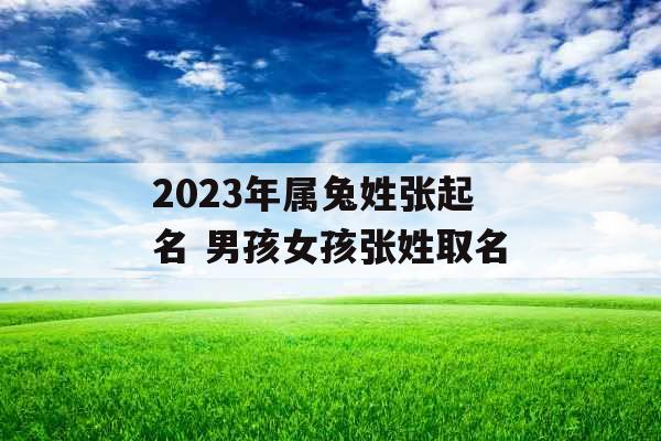 2023年属兔姓张起名 男孩女孩张姓取名