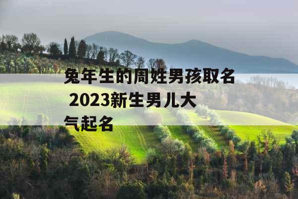 兔年生的周姓男孩取名 2023新生男儿大气起名