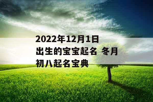 2022年12月1日出生的宝宝起名 冬月初八起名宝典