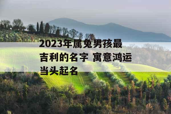 2023年属兔男孩最吉利的名字 寓意鸿运当头起名