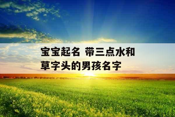 宝宝起名 带三点水和草字头的男孩名字