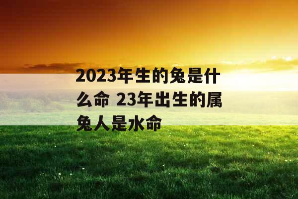 2023年生的兔是什么命 23年出生的属兔人是水命