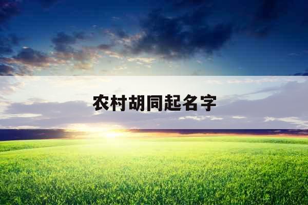 农村胡同起名字