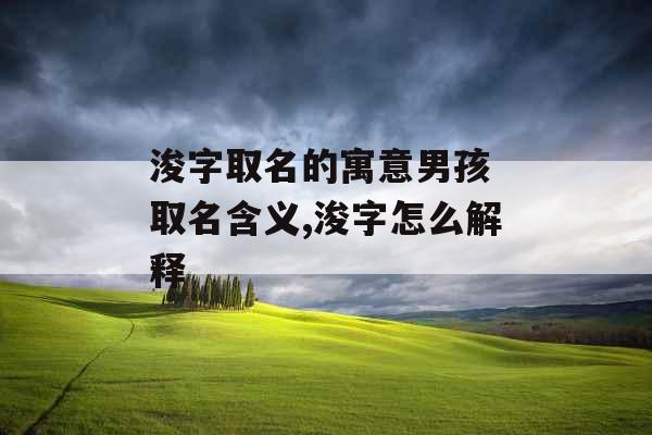 浚字取名的寓意男孩 取名含义,浚字怎么解释