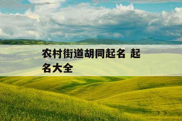 农村街道胡同起名 起名大全
