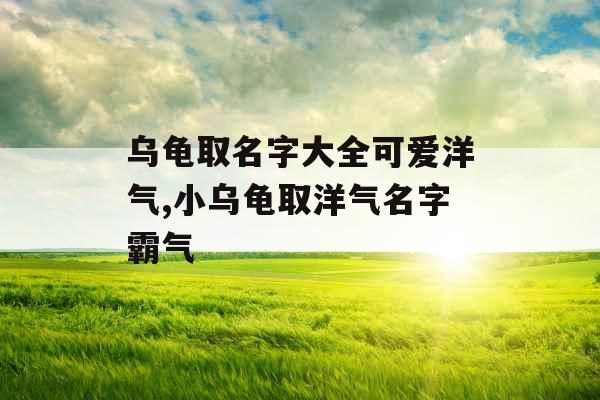 乌龟取名字大全可爱洋气,小乌龟取洋气名字霸气