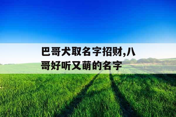 巴哥犬取名字招财,八哥好听又萌的名字