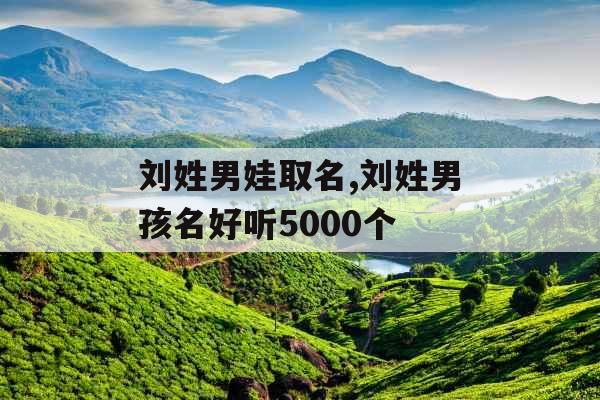 刘姓男娃取名,刘姓男孩名好听5000个 刘姓男娃取名,刘姓男孩名好听5000个