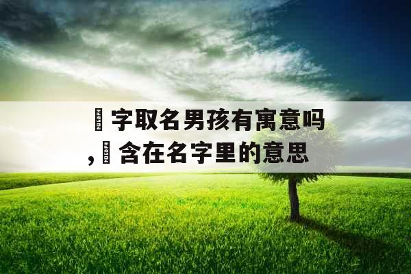 瑀字取名男孩有寓意吗,瑀含在名字里的意思