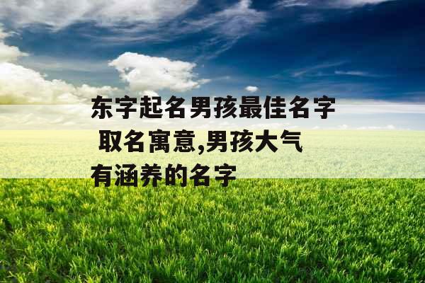 东字起名男孩最佳名字 取名寓意,男孩大气有涵养的名字