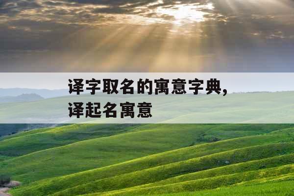 译字取名的寓意字典,译起名寓意