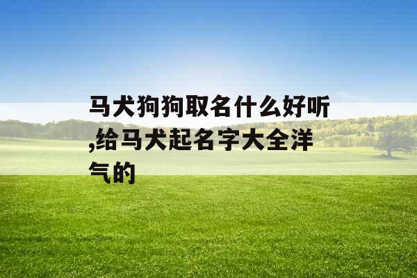 马犬狗狗取名什么好听,给马犬起名字大全洋气的