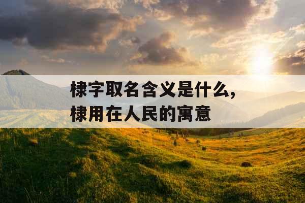 棣字取名含义是什么,棣用在人民的寓意