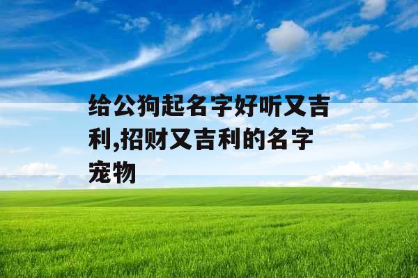 给公狗起名字好听又吉利,招财又吉利的名字宠物