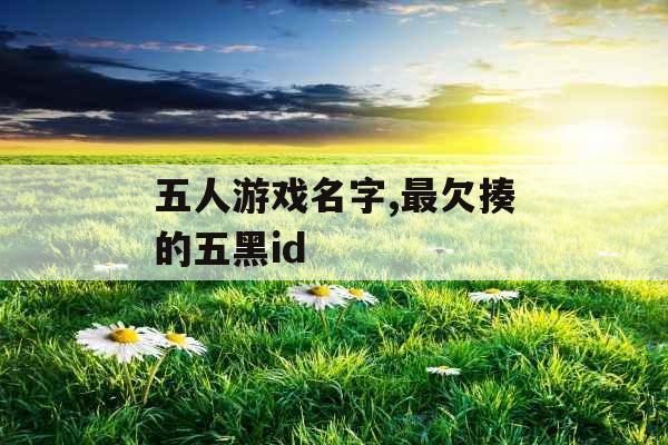 五人游戏名字,最欠揍的五黑id