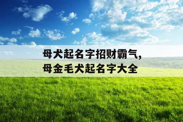 母犬起名字招财霸气,母金毛犬起名字大全