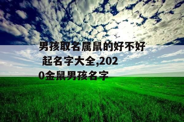 男孩取名属鼠的好不好 起名字大全,2020金鼠男孩名字