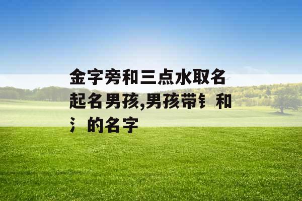 金字旁和三点水取名 起名男孩,男孩带钅和氵的名字