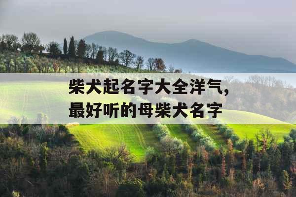 柴犬起名字大全洋气,最好听的母柴犬名字 柴犬起名字大全洋气,最好听的母柴犬名字