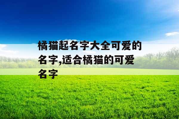 橘猫起名字大全可爱的名字,适合橘猫的可爱名字