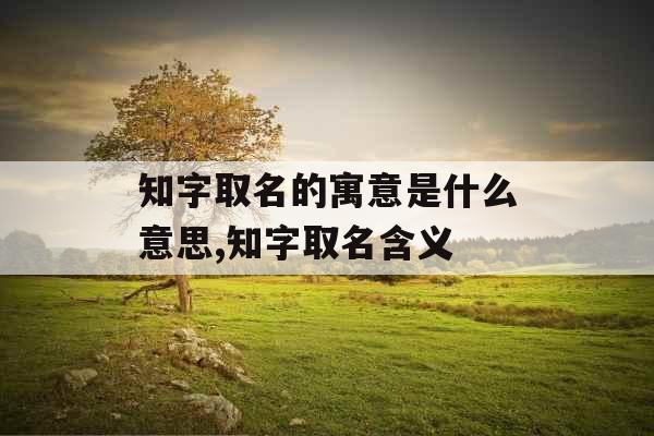 知字取名的寓意是什么意思,知字取名含义