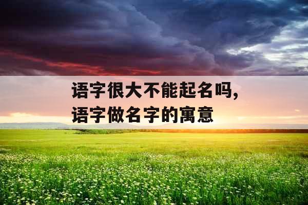 语字很大不能起名吗,语字做名字的寓意