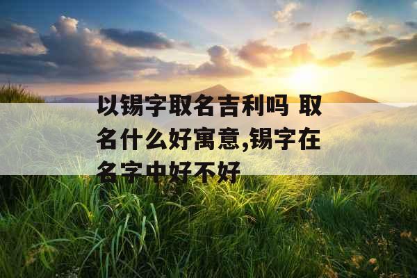 以锡字取名吉利吗 取名什么好寓意,锡字在名字中好不好