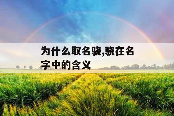 为什么取名骁,骁在名字中的含义