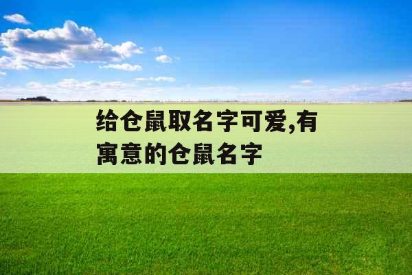 给仓鼠取名字可爱,有寓意的仓鼠名字