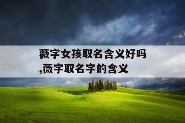 薇字女孩取名含义好吗,薇字取名字的含义