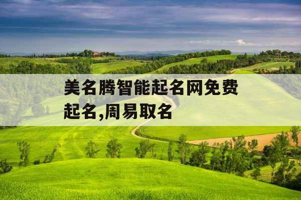 美名腾智能起名网免费起名,周易取名