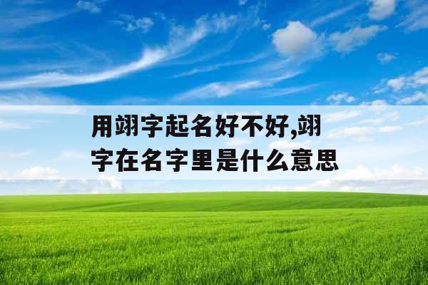 用翊字起名好不好,翊字在名字里是什么意思