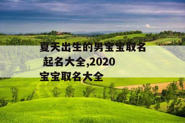 夏天出生的男宝宝取名 起名大全,2020宝宝取名大全