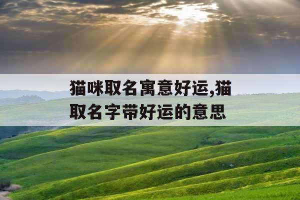 猫咪取名寓意好运,猫取名字带好运的意思