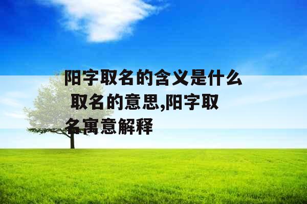 阳字取名的含义是什么 取名的意思,阳字取名寓意解释