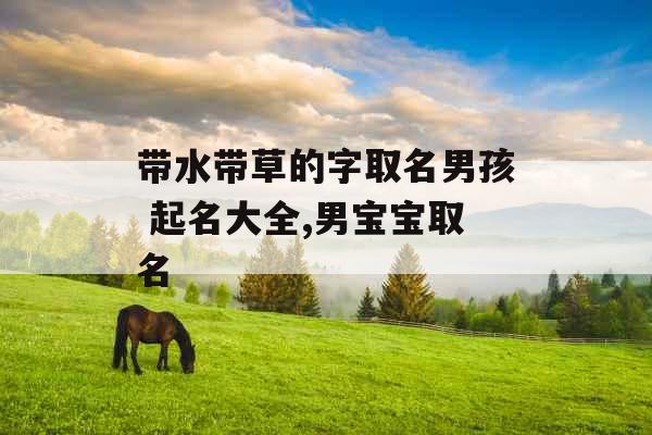 带水带草的字取名男孩 起名大全,男宝宝取名