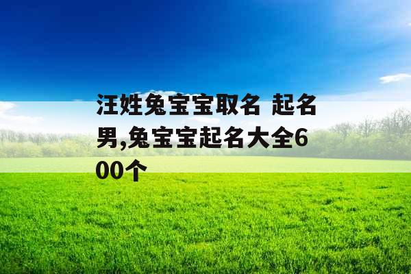 汪姓兔宝宝取名 起名男,兔宝宝起名大全600个