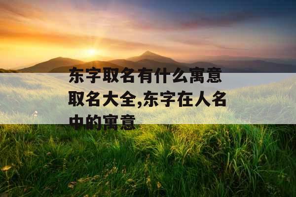 东字取名有什么寓意 取名大全,东字在人名中的寓意