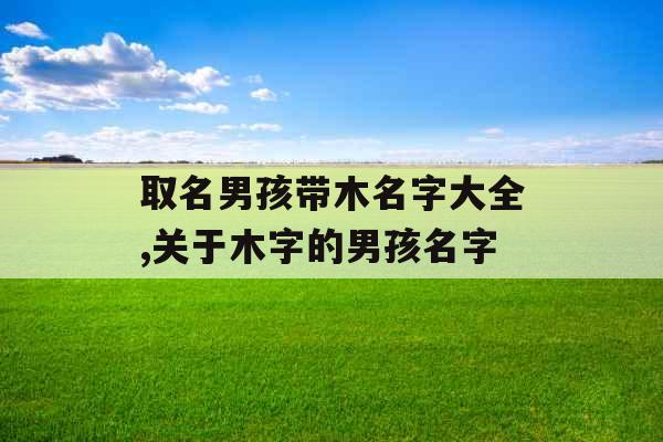 取名男孩带木名字大全,关于木字的男孩名字