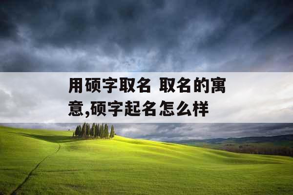 用硕字取名 取名的寓意,硕字起名怎么样
