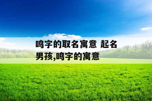 鸣字的取名寓意 起名男孩,鸣字的寓意