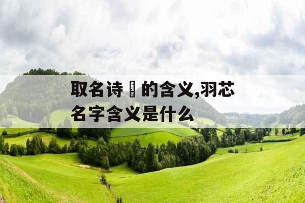 取名诗玥的含义,羽芯名字含义是什么