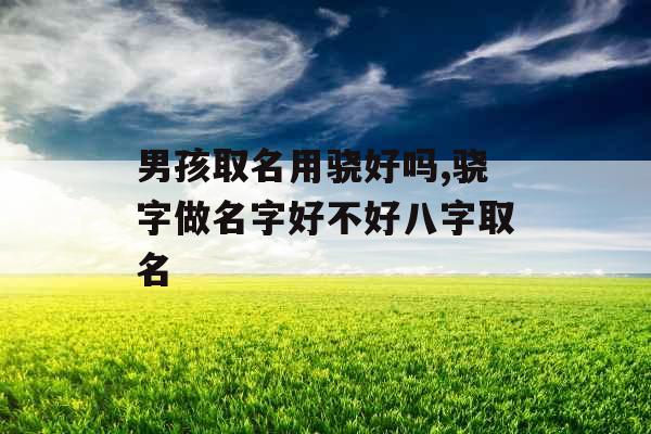 男孩取名用骁好吗,骁字做名字好不好八字取名